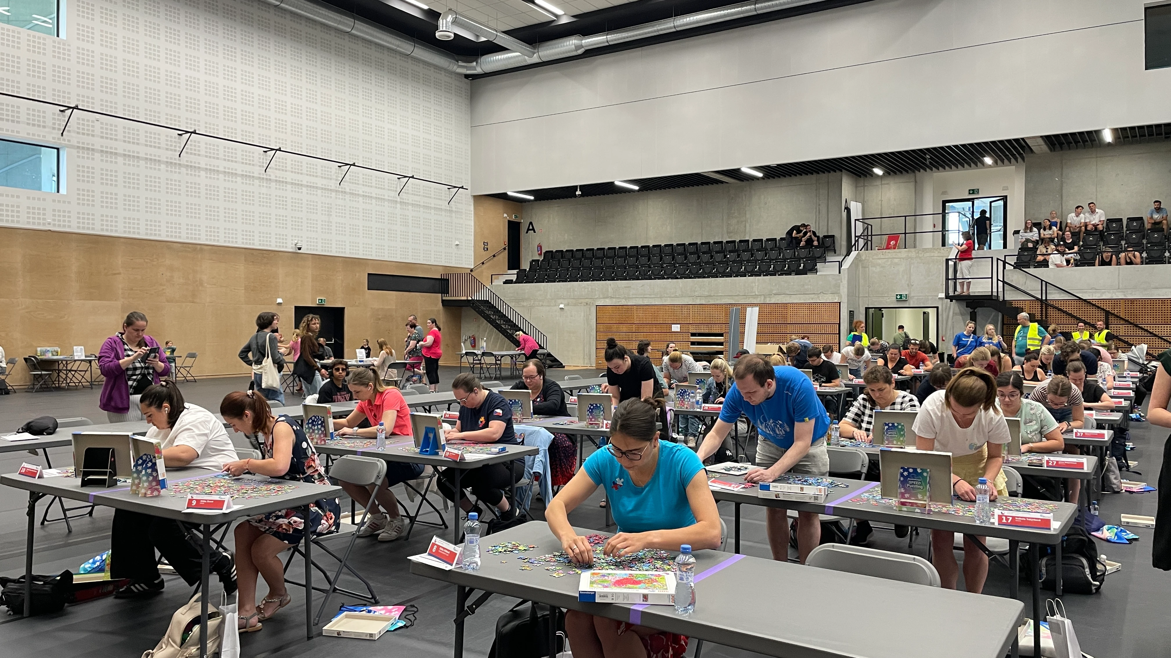 Výsledky Czech Jigsaw Puzzle Championship 2025